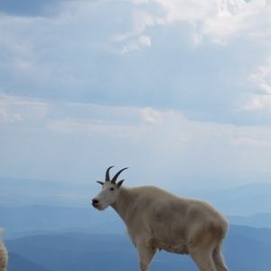 Meet your Posher, Vicki